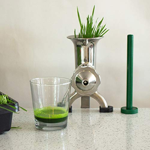 Handy Pantry HJ Hurricane Stainless Steel Manual Wheatgrass Juicer